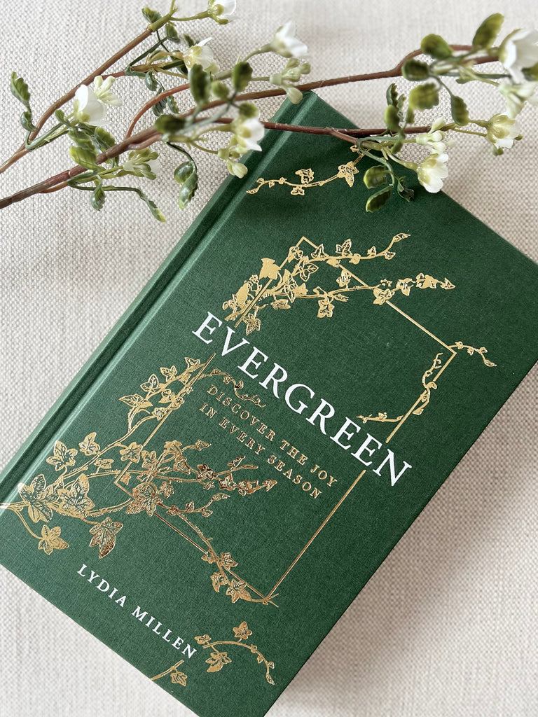 Evergreen By Lydia Millen
