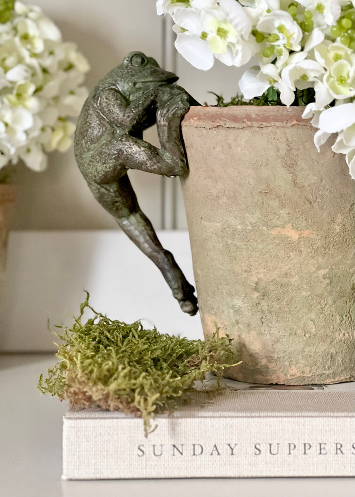 Frog Pot Hanger.