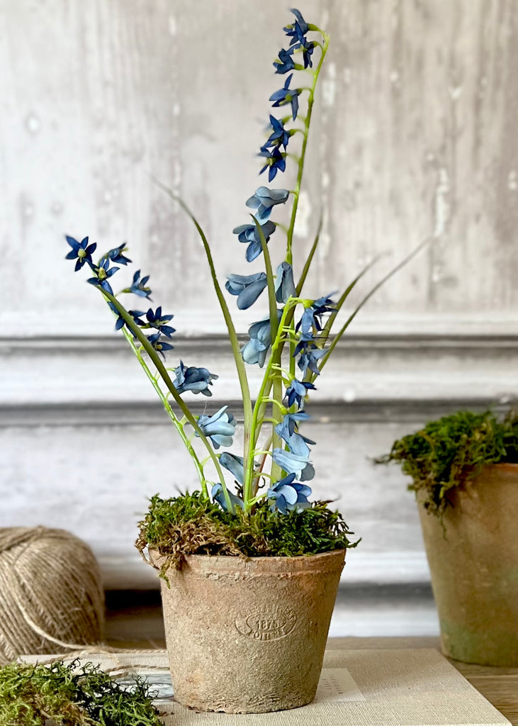 Faux Bluebells In Aged Terracotta Pot With Moss