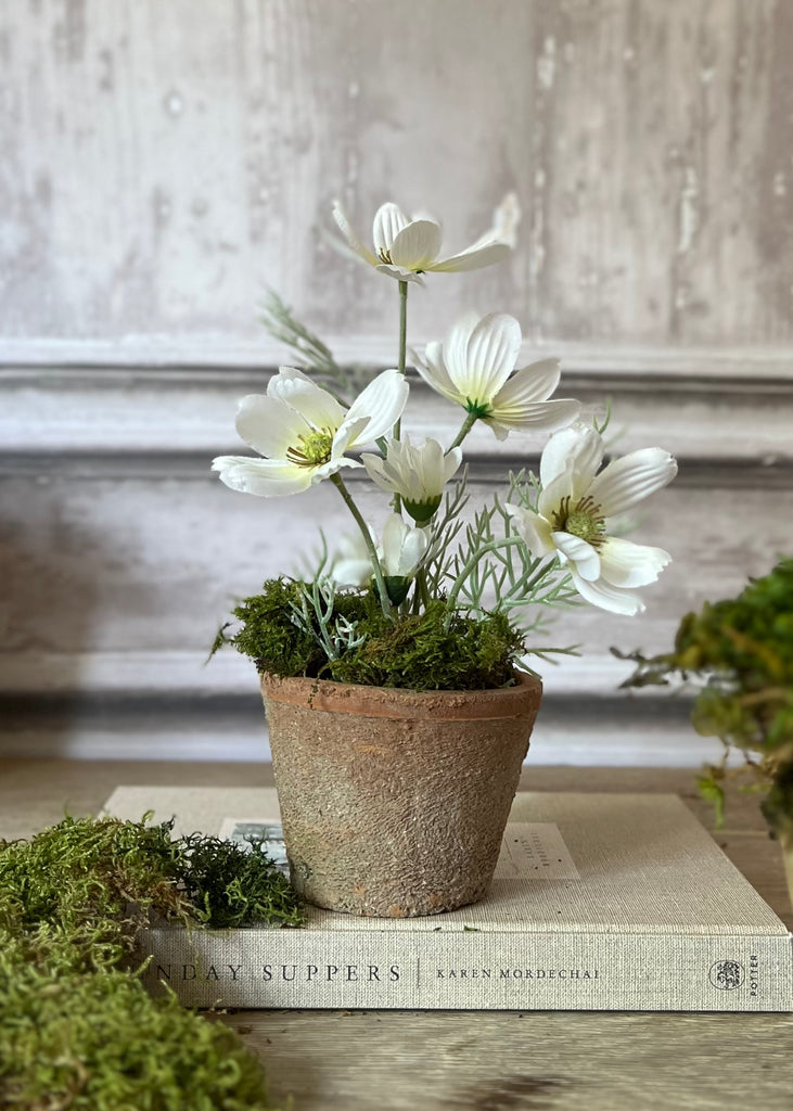 Faux Cosmos Daisy Spray Arrangement In Aged Terracotta Pot With Moss