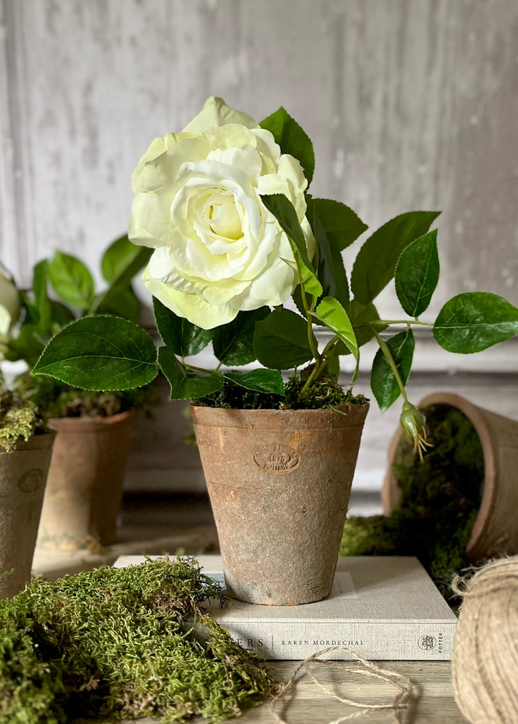 Faux Vivienne Rose & Bud Arrangement In Aged Terracotta Pot With Moss