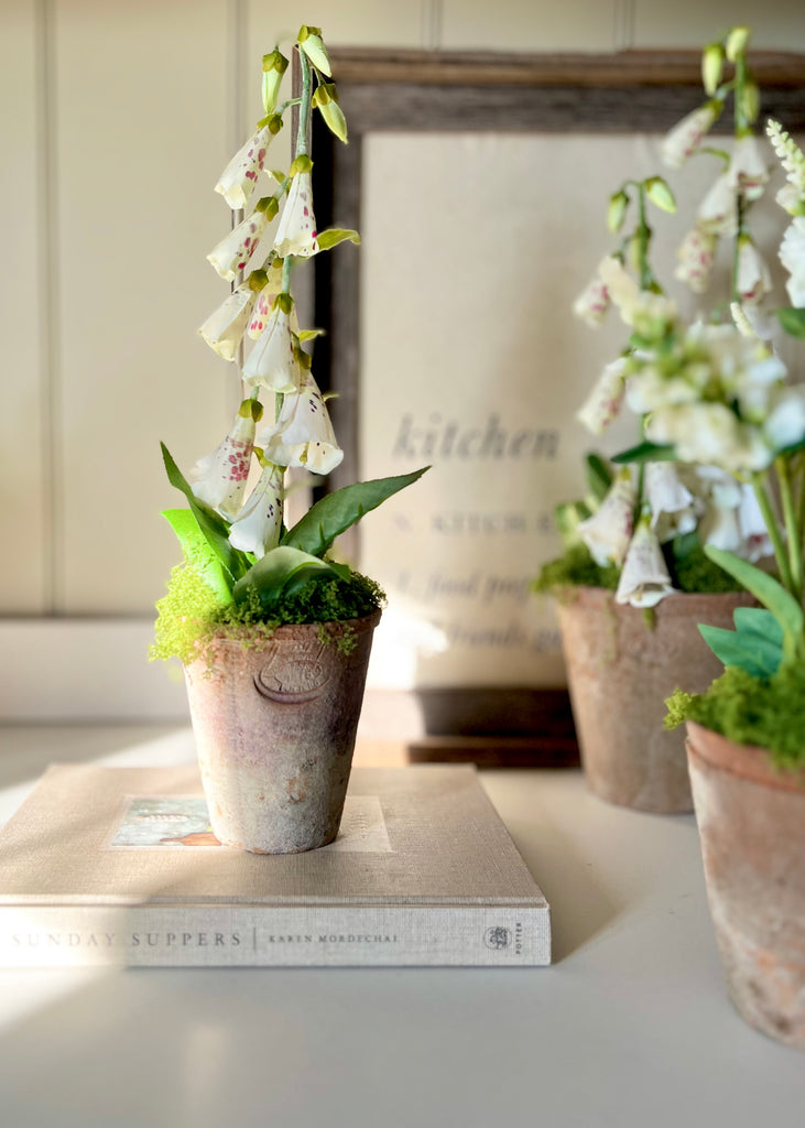 Faux Foxglove In Aged Terracotta Pot With Moss