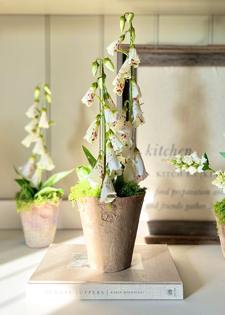 Faux Foxgloves In Med Aged Terracotta Pot With Moss