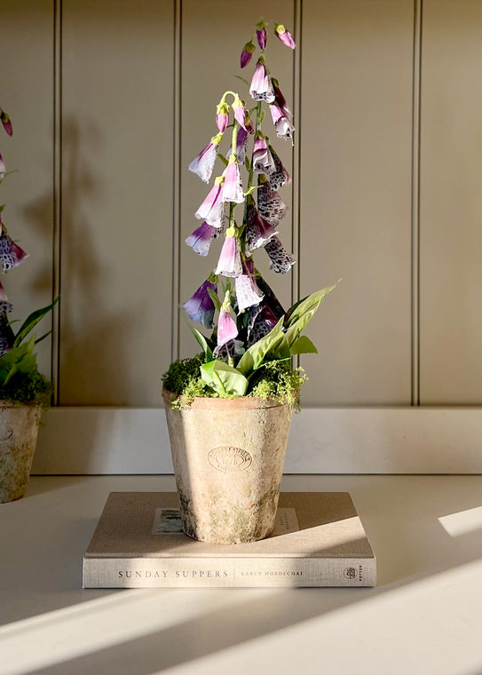 Faux Foxgloves In Med Aged Terracotta Pot With Moss Mauve.