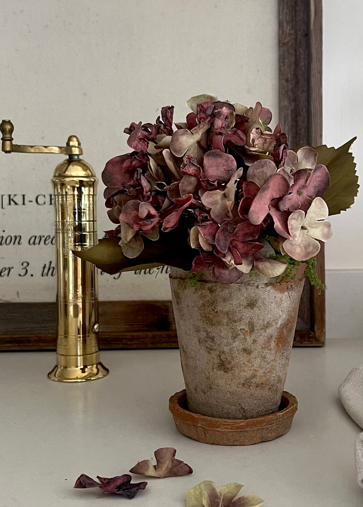 Faux Dried Style Daphne Hydrangea With Aged Terracotta Pot Arrangement & Base