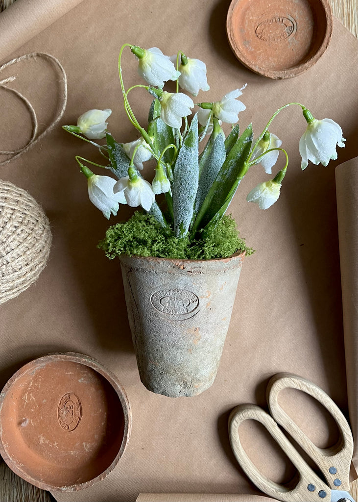 Faux Snowdrops In Terracotta Pot With Base.