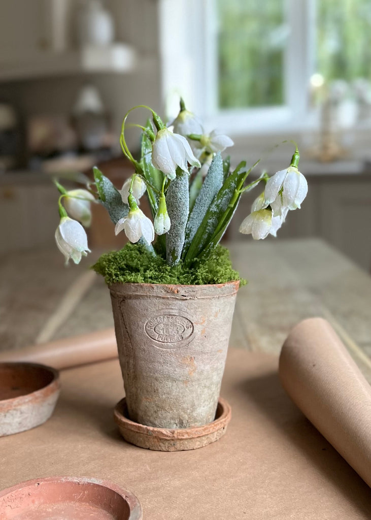 Faux Snowdrops In Terracotta Pot With Base.