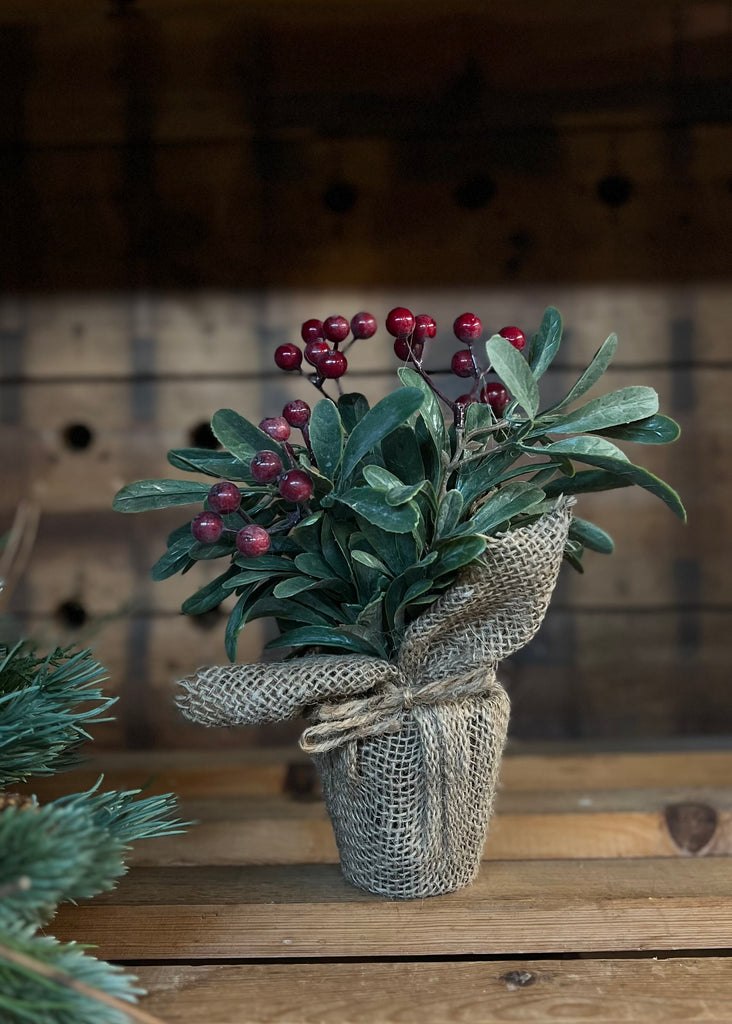 Winter Berry Arrangement Pot Wrapped In Hessian.