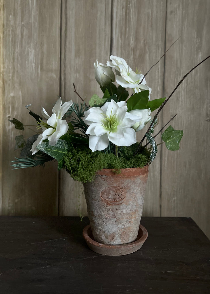 Faux Hellebore & Ivy Arrangement In Aged Pot With Base