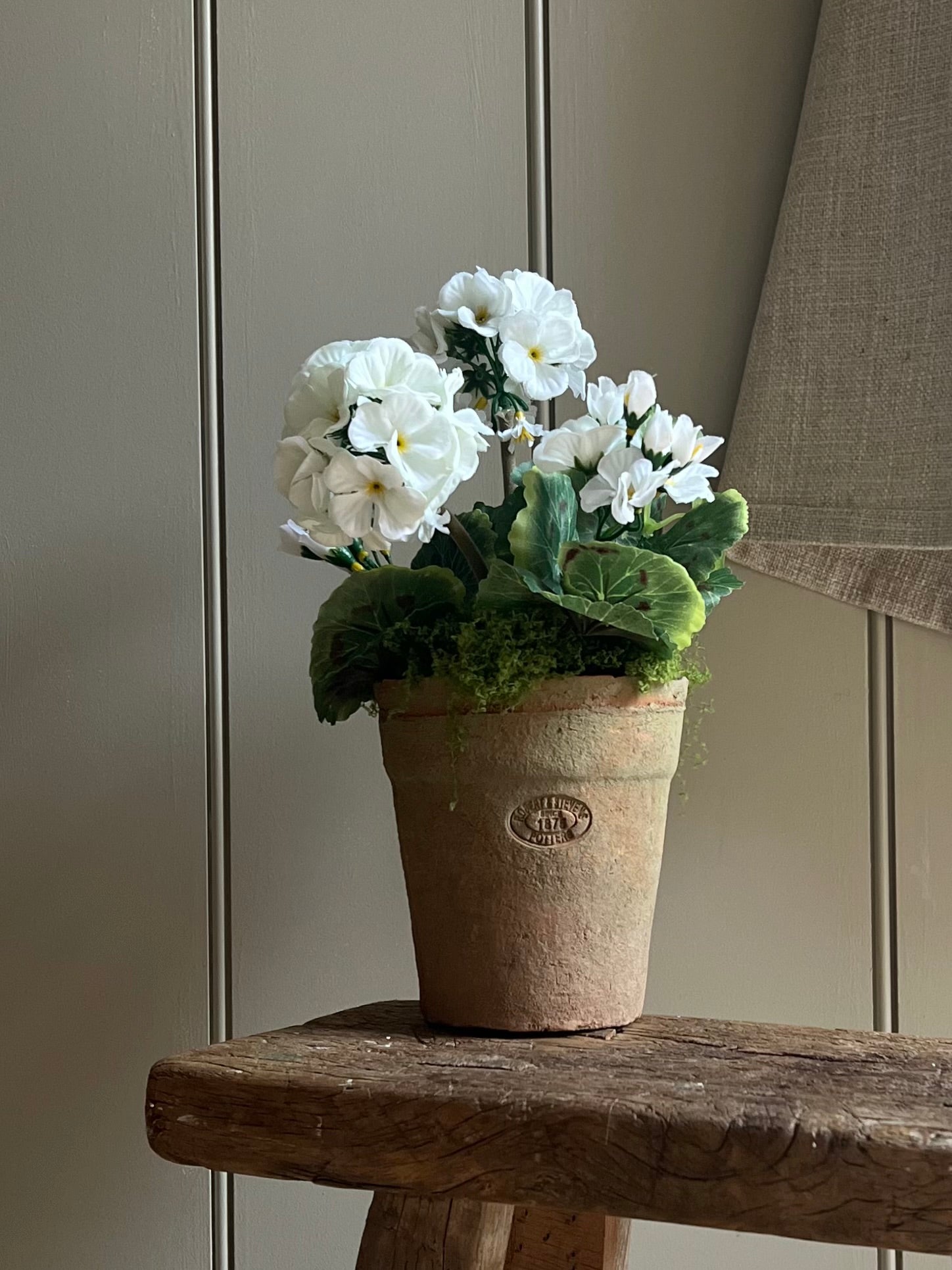 Med Faux White Geranium In Aged Terracotta Pot, Finshed With Moss.