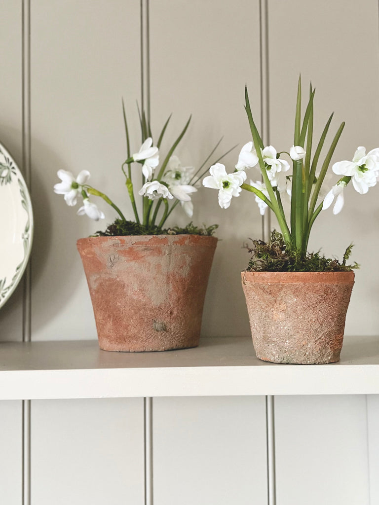 Faux Snowdrops In Small Aged Terracotta Pot.