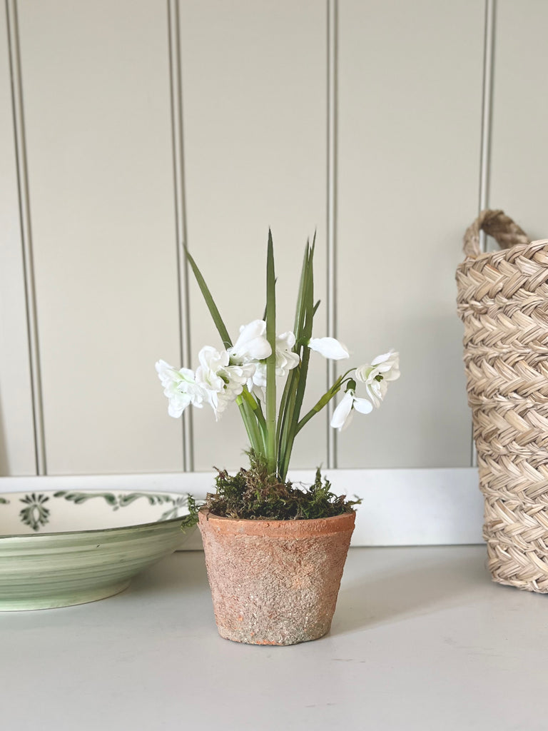 Faux Snowdrops In Small Aged Terracotta Pot.